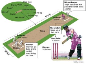 cricket pitch