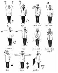 umpire signals

